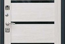 Новинка - входная дверь "Зета"