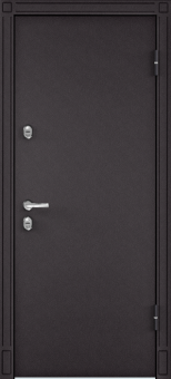 Торэкс Snegir 20 Steel