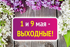 Поздравляем с майскими праздниками!