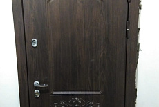 Торэкс, модель Snegir 60 PP