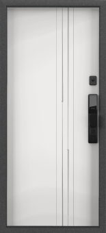 Торэкс Cyber Pro PP