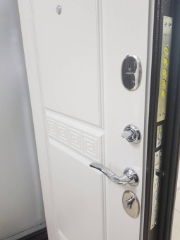 Ferroni Троя Медь - Ясень