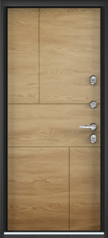 Торэкс Arctic LT MP