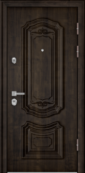 Торэкс Professor 4+ 02 PP